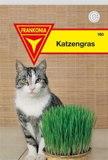 Katzengras Frankonia Samen