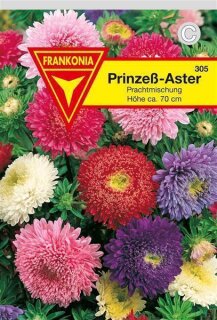 Astern Prinzeß Frankonia Samen