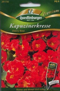 Kapuzinerkresse Cherry Rose