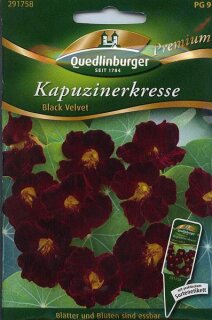 Kapuzinerkresse Black Velvet
