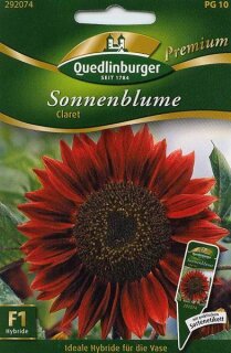 Sonnenblume Claret