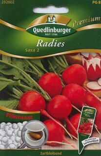 Pille Radies Saxa 2