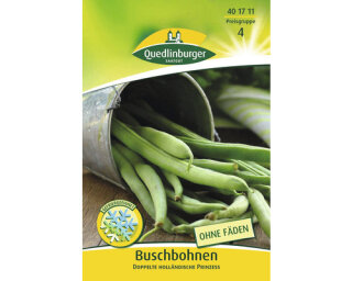 Buschbohne Doppelte holländische