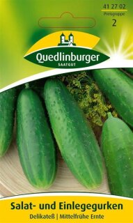 Einlegegurke Delikateß