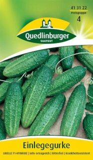Einlegegurke Libelle