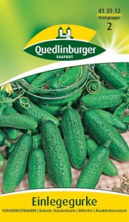 Einlegegurke Vorgebirgstrauben