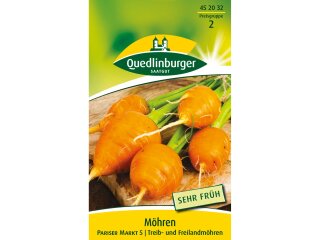 Möhre Pariser Markt 5