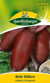 Rote Rübe Cylindra