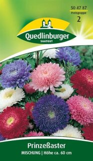 Aster Prinzeß - Mischung
