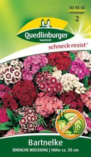 Bartnelke, Einfache Mischung