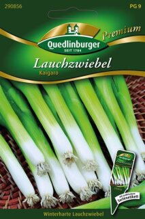 Lauchzwiebel Kaigaro