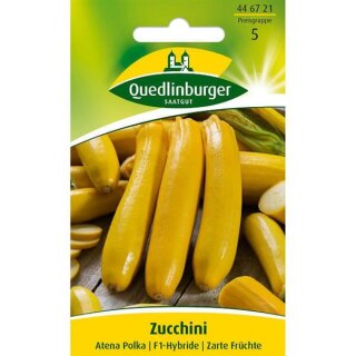 Zucchini Atena Polka