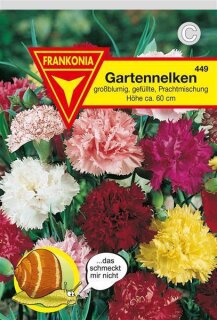 Gartennelken gefüllte Mischung Frankonia Samen