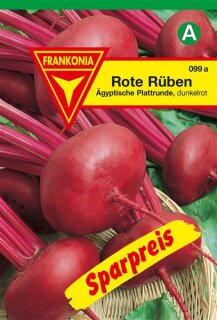 Rote Rüben ägyptische Frankonia Samen