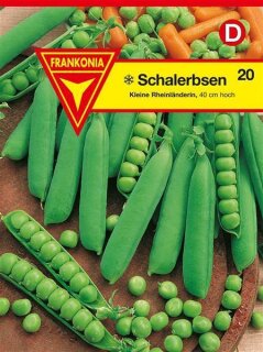 Erbsen, Kleine Rheinländerin