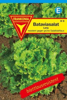 Bataviasalat Leny Frankonia Samen