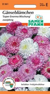 Gänseblümchen Super Enorma Mischung