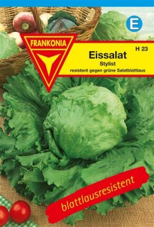 Eissalat Stylist Frankonia Samen