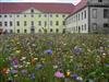 Klostermischung