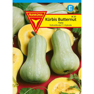Kürbis Butternut Tiana Frankonia Samen