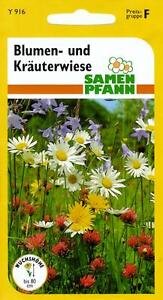 Blumen und Kräuterwiese