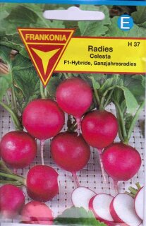 Radies Celesta F1 Frankonia Samen