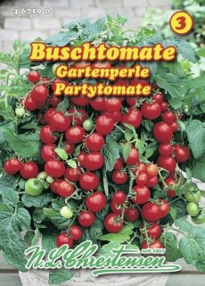 Buschtomate Gartenperle