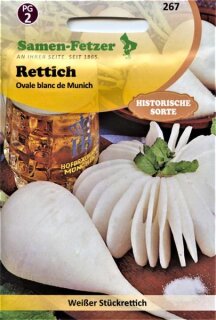 Rettich Münchner Bier