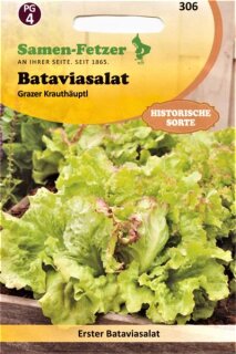 Bataviasalat Grazer Krauthäuptl