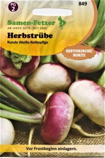 Herbstrübe Runde Weiße Rotköpfig