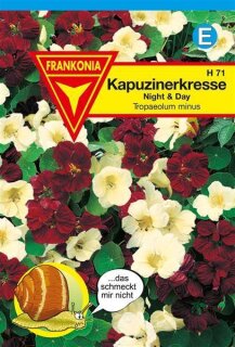 Kapuzienerkresse Night & Day Frankonia Samen