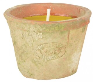 Citronella Kerze im Terrakotta Topf