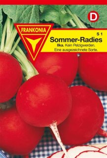 Radies Ilka Frankonia Samen