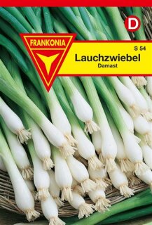 Lauchzwiebel Damast Frankonia Samen