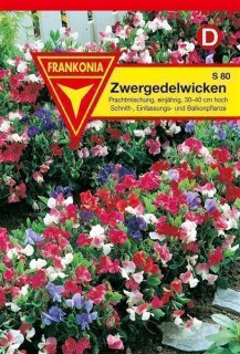 Zwergedelwicken Frankonia Samen