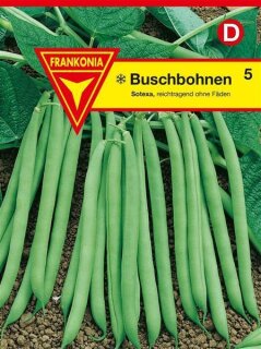 Buschbohnen, Sotexa