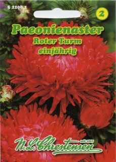 Paeonienaster Roter Turm
