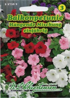 Balkonpetunien Mischung