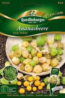 Ananasbeere, Early Yellow