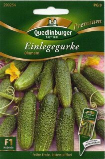 Einlegegurke Diamant